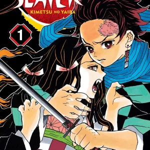 demon slayer vol:1